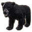 Black Bear Cub icon